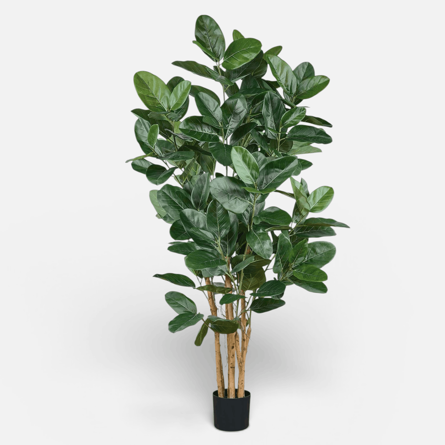 faux ficus audrey Ficus Audrey Artificial