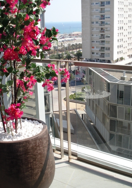 MACETA BOUGAINVILLEA x 3504 h. 210 cm