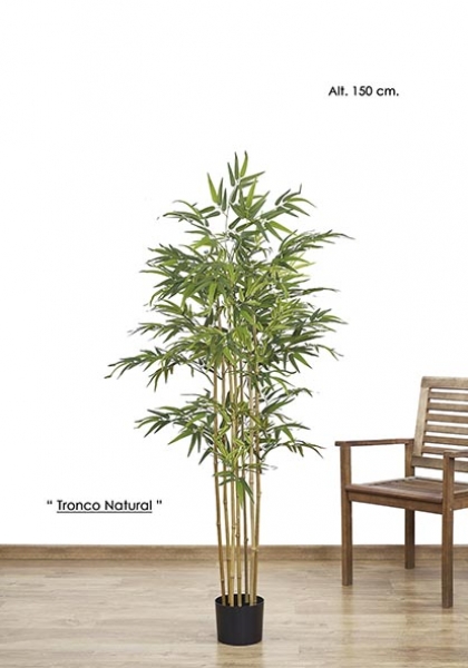 MACETA BAMBOO x 1080h. 180 cm. Verde