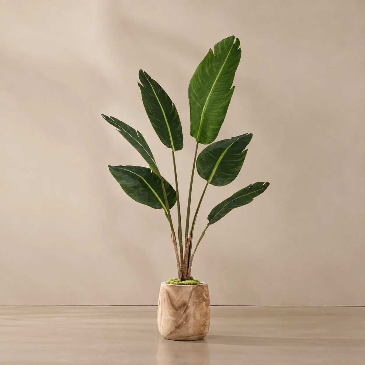 Planta artificial montada en el macetero de madera con musgo decorativo