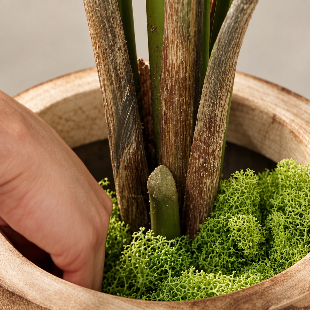 Musgo decorativo cubriendo la maceta de cultivo de una planta artificial, en macetero de madera