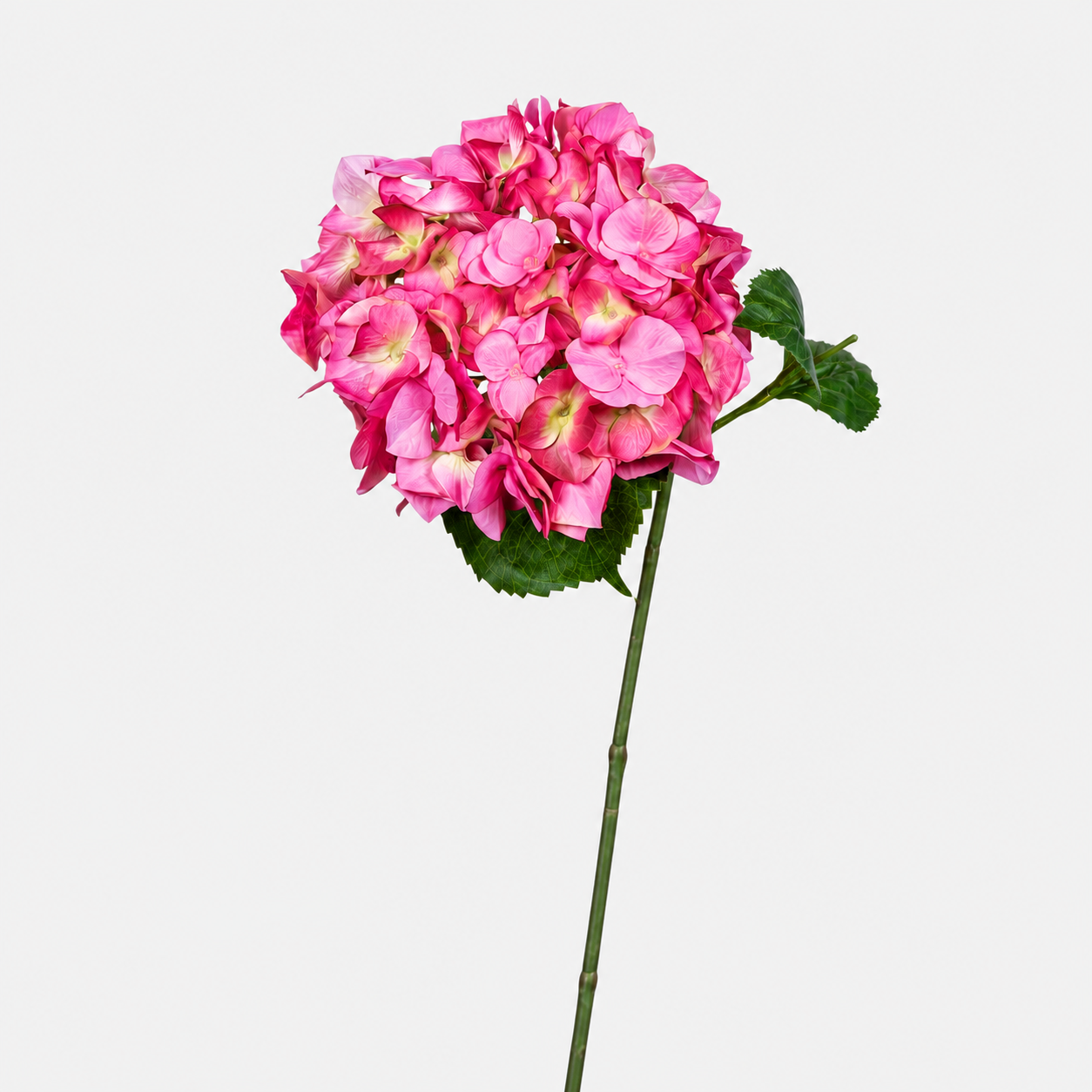 Hortensia Fresh Artificial