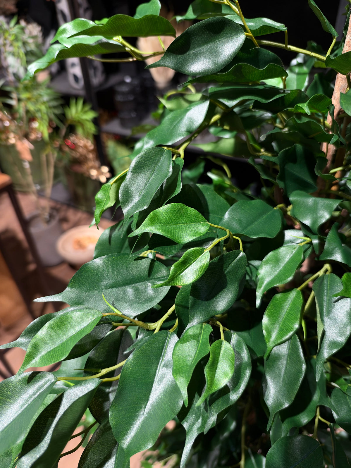 Ficus exótica artificial de 170 cm, detalle de las hojas de cerca · BOSSVI