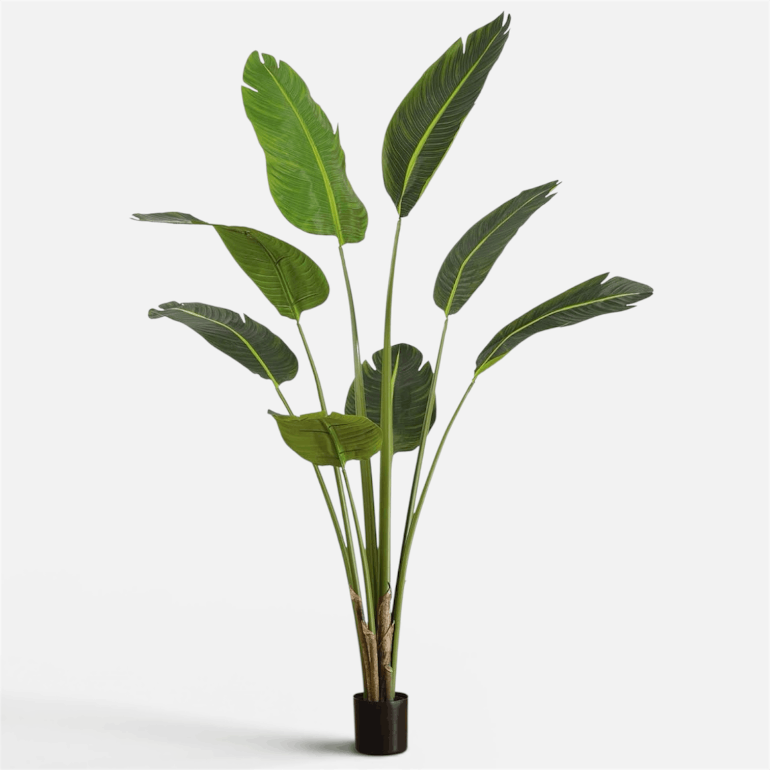 Traveller Palm Artificial