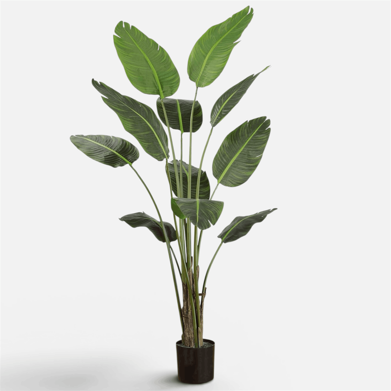 Traveller Palm Artificial