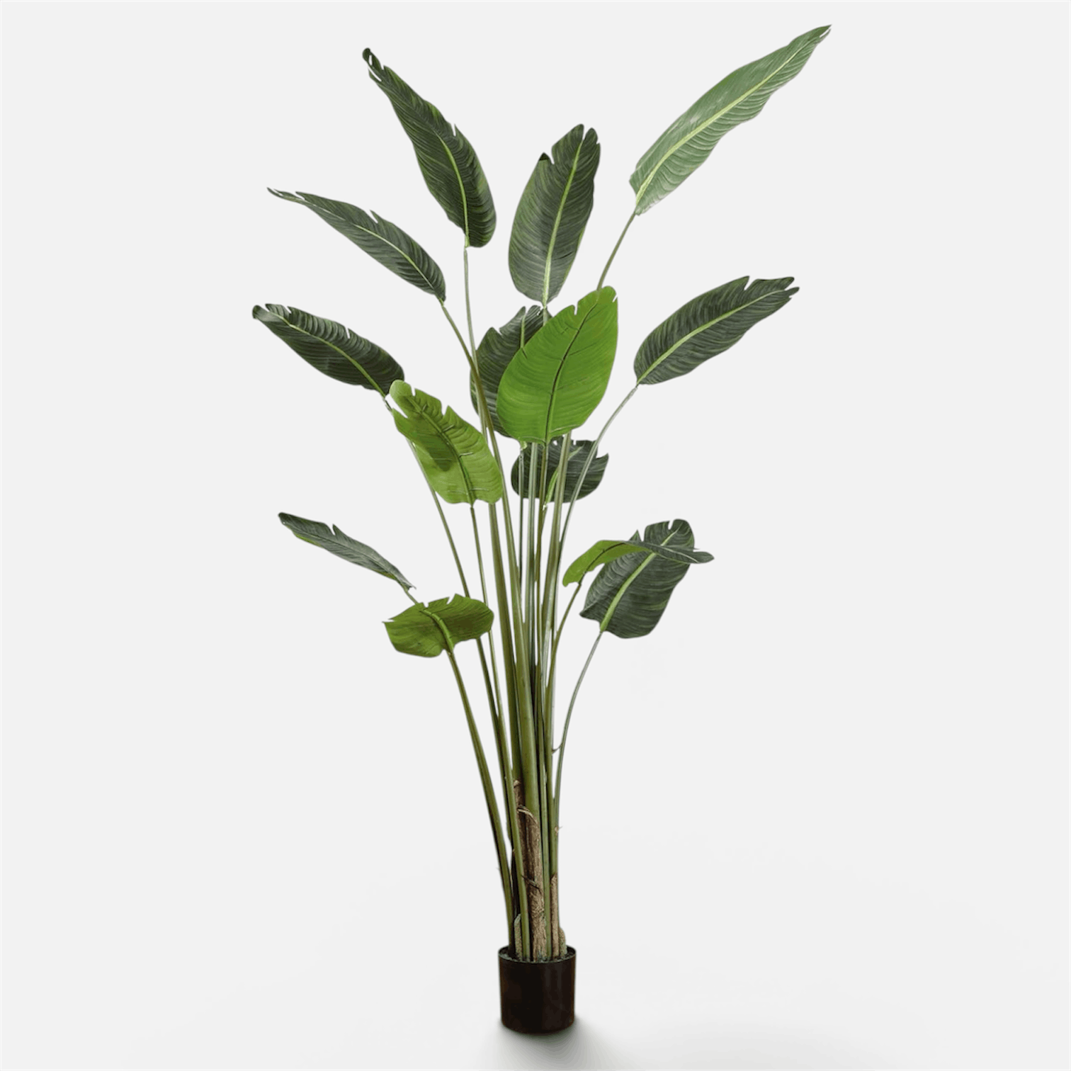 Traveller Palm Artificial