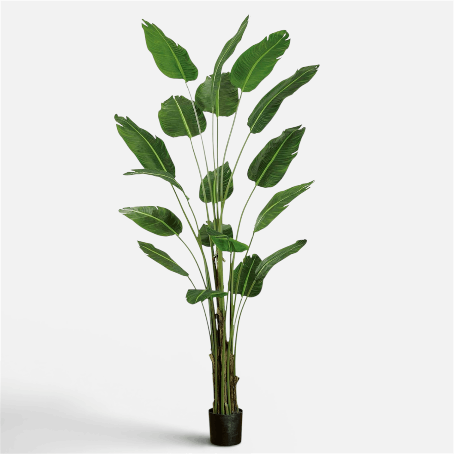 Traveller Palm Artificial