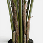 Traveller Palm Artificial · BOSSVI