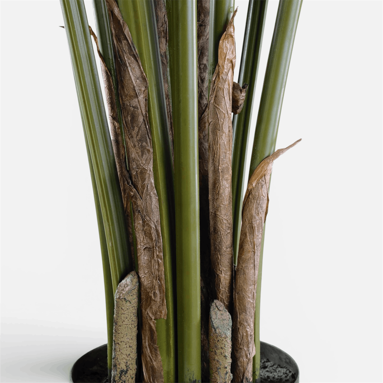 Traveller Palm Artificial