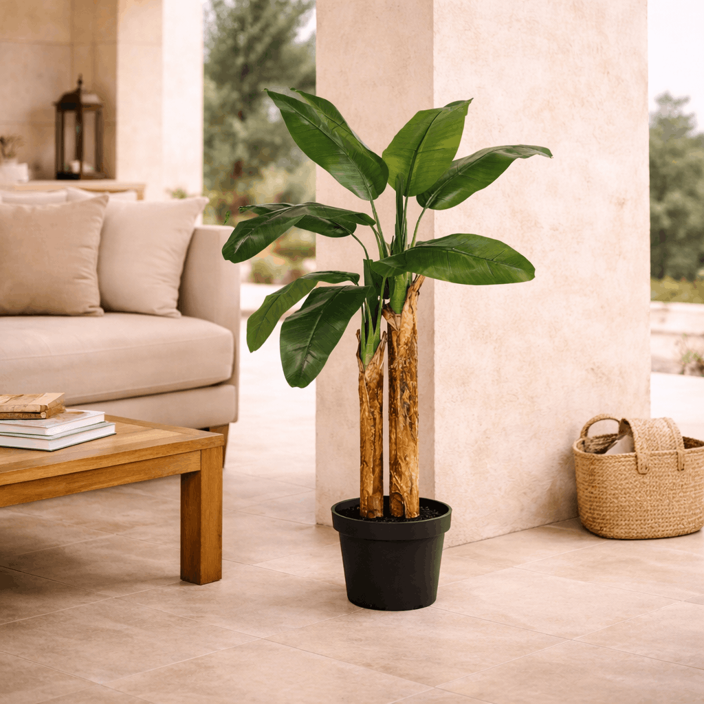 Banana Tree 150/180/210cm