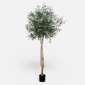 Olivo Artificial · BOSSVI