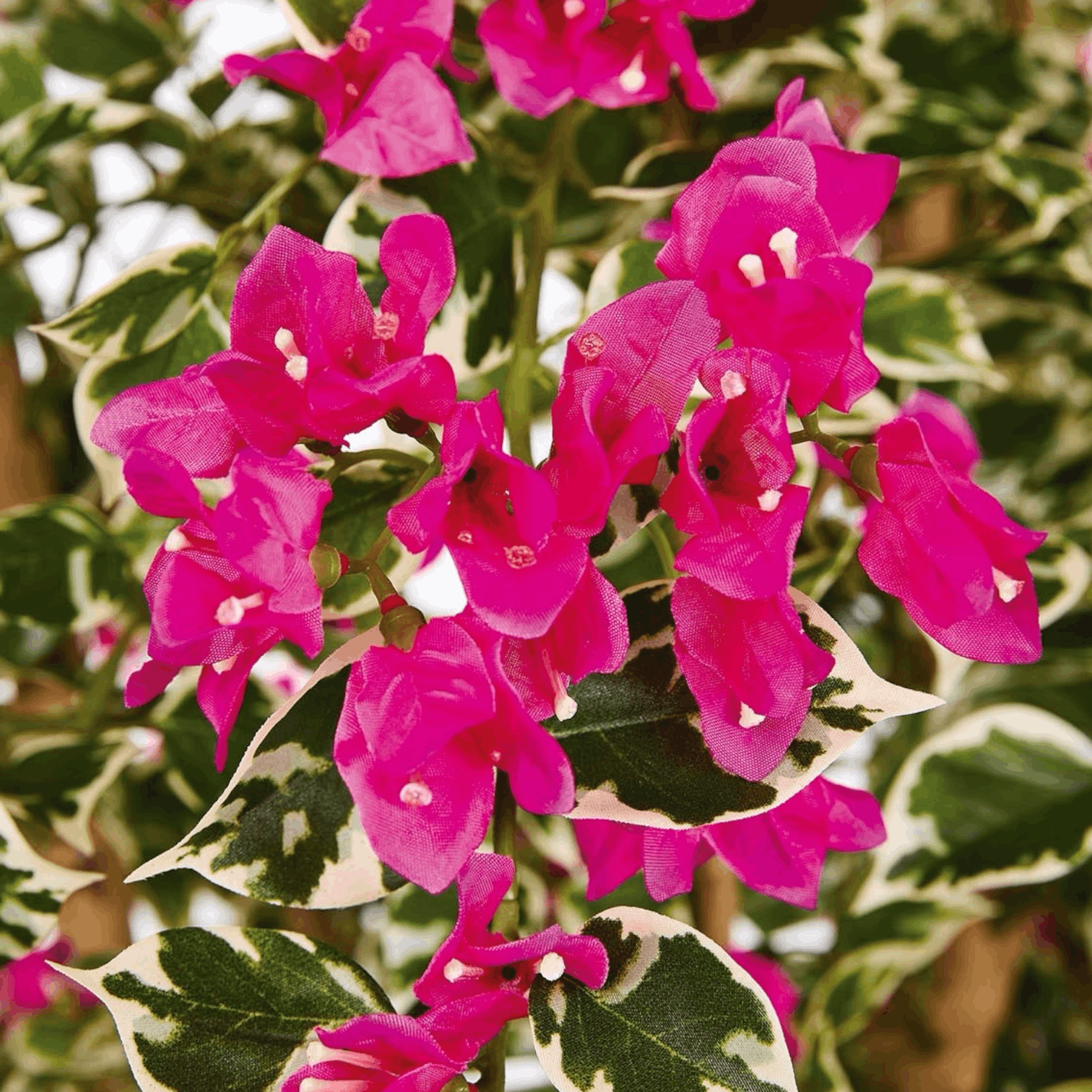 Buganvilla Artificial