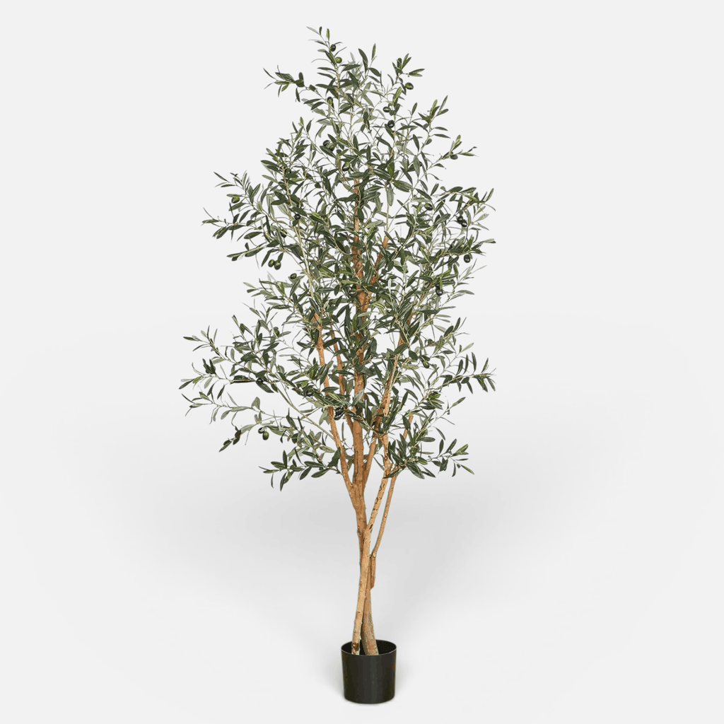 Olivo Artificial Compacto