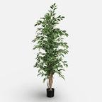Ficus Exótica Artificial de 170 cm · BOSSVI