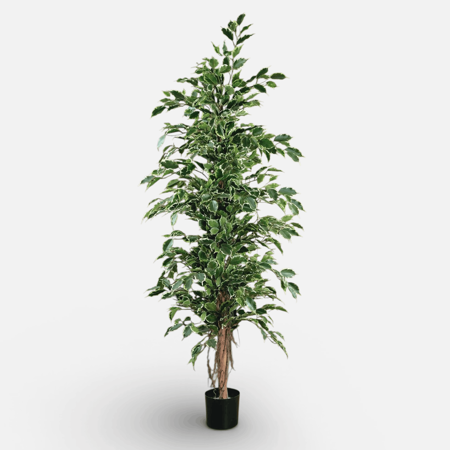 Ficus Exótica Artificial