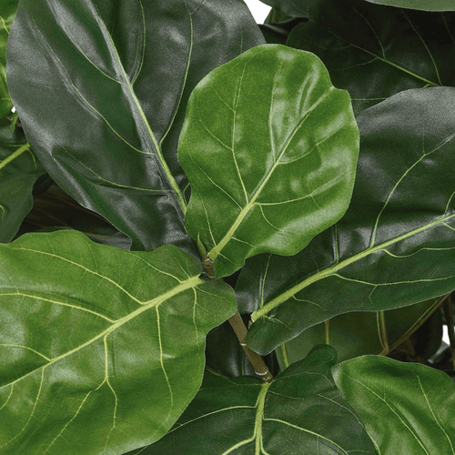 Ficus Lyrata Artificial