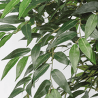 Ficus de hoja alargada artificial en maceta · BOSSVI