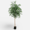 Ficus Artificial