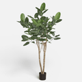 Ficus Audrey Artificial · BOSSVI