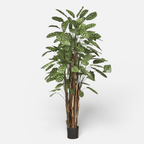 Calathea Artificial de 180 cm · BOSSVI