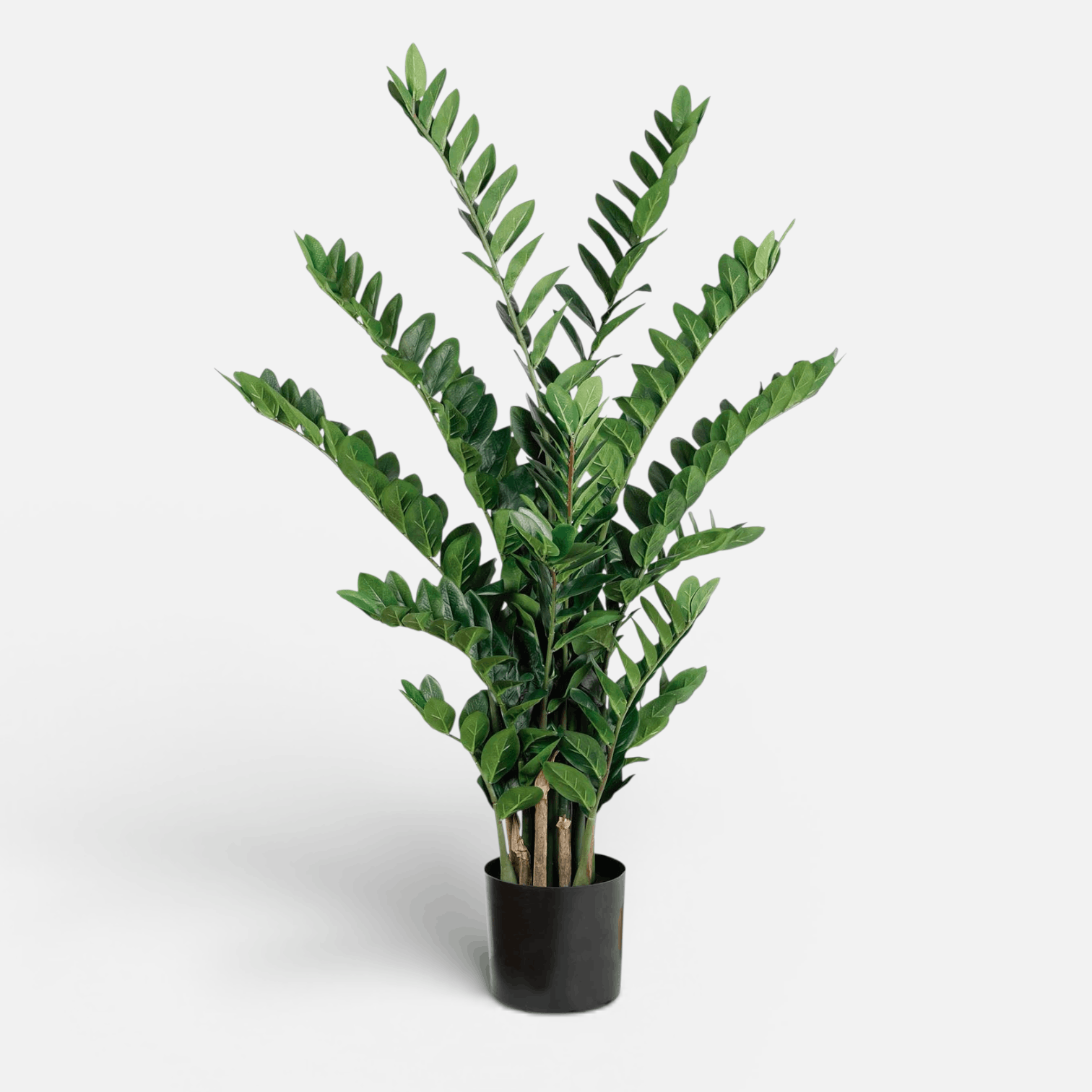 Zamioculca Artificial