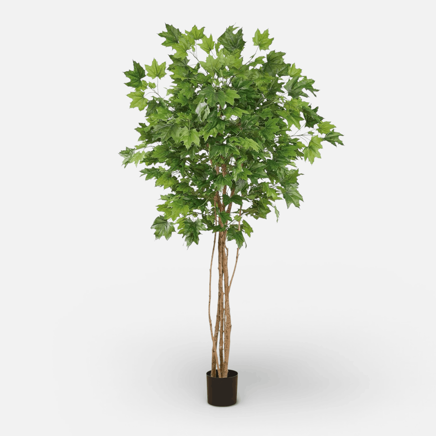 Maple Artificial Copa Cerrada