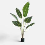 Traveller Palm Artificial · BOSSVI