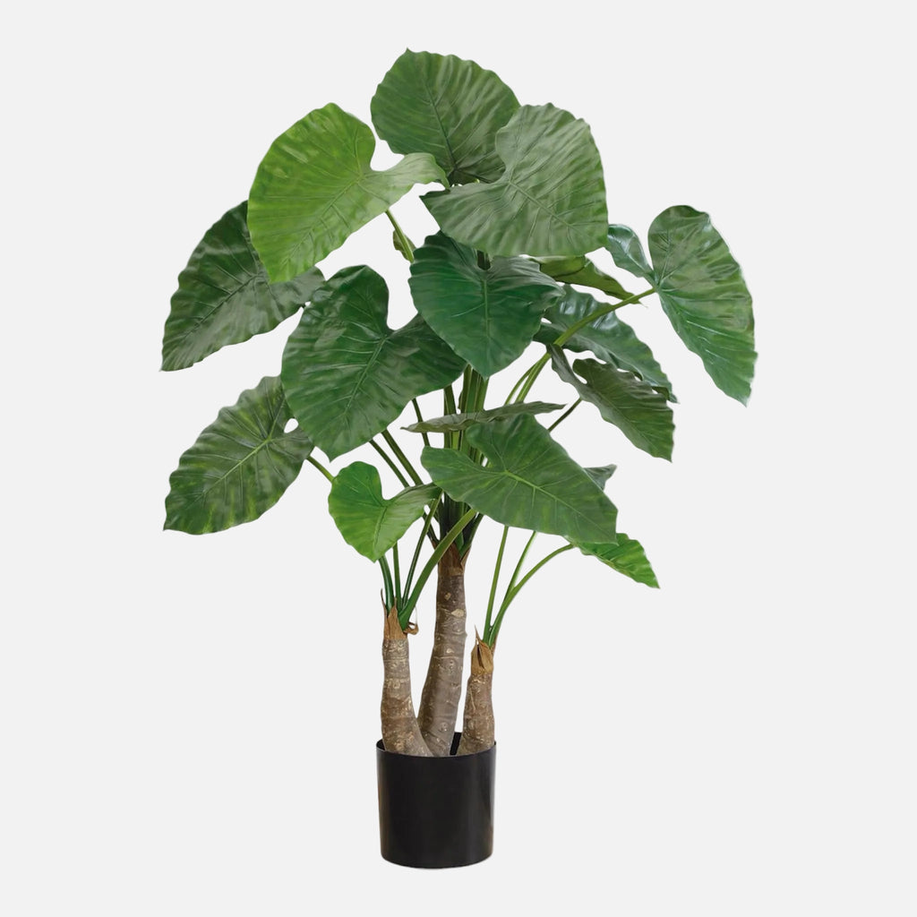 Alocasia Artificial