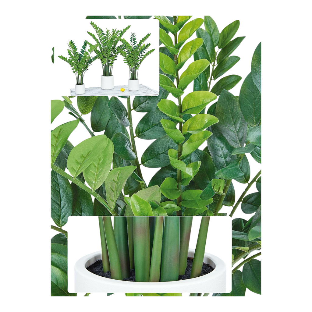 Zamifolia Artificial