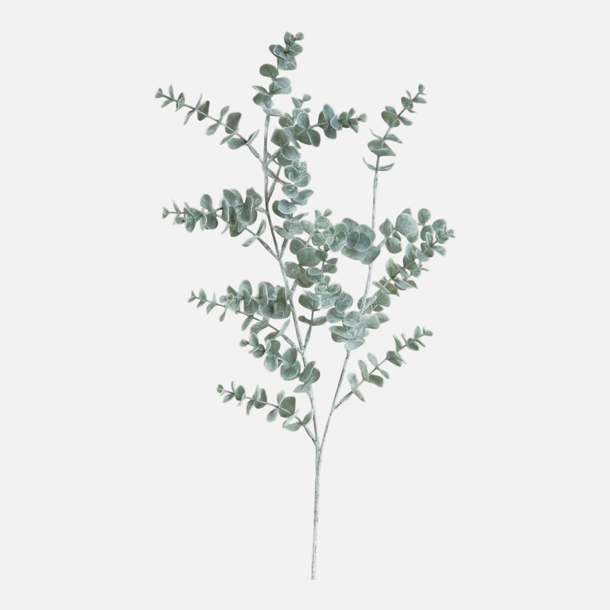 Rama de Eucalipto Artificial Hoja Fina