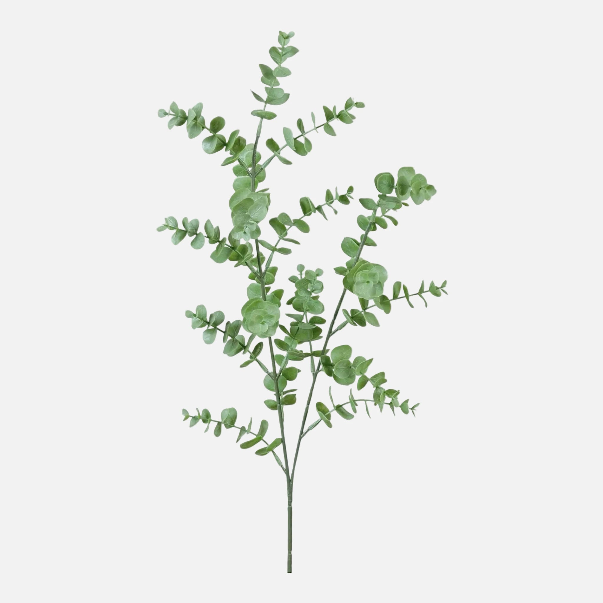 Rama de Eucalipto Artificial Hoja Fina
