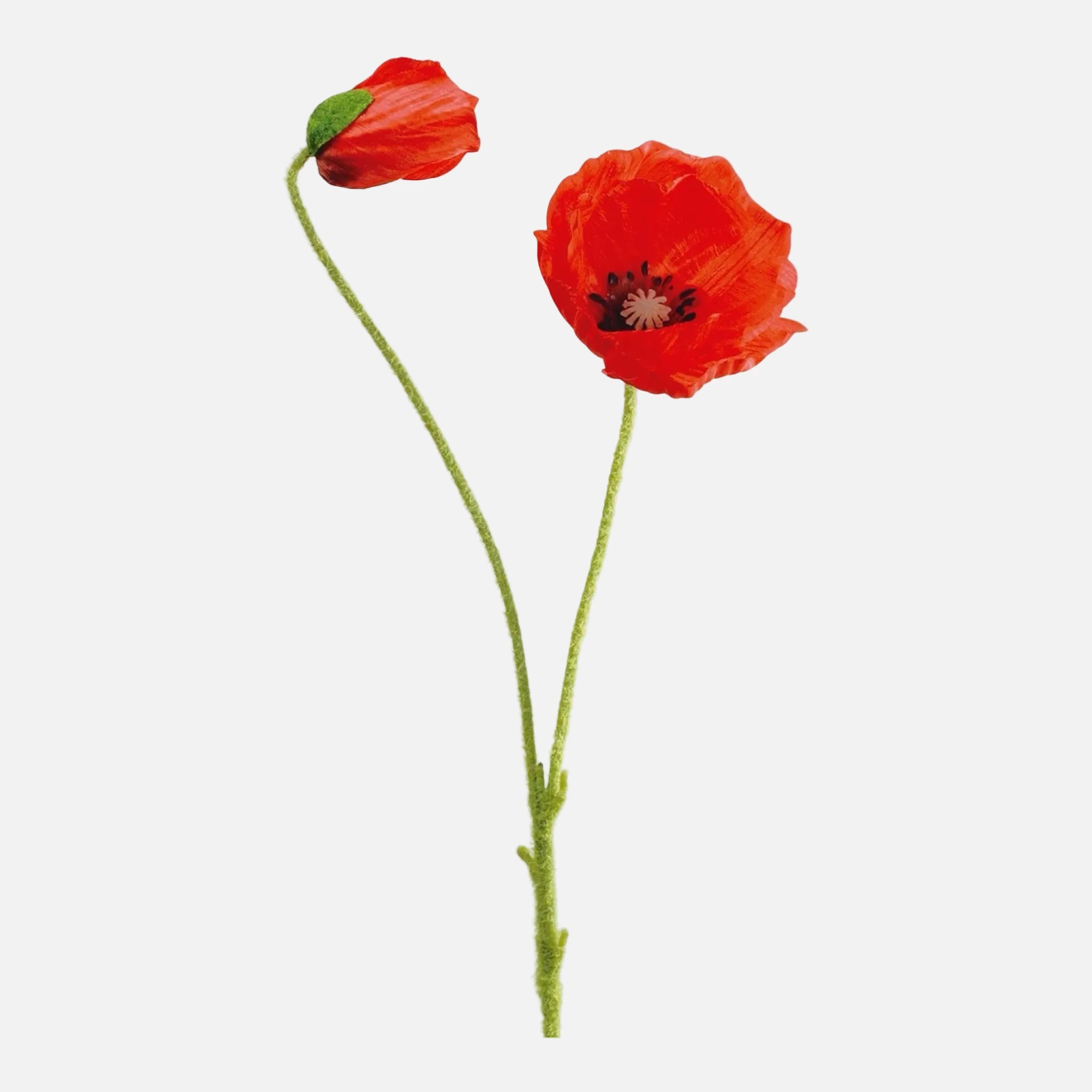 Amapola Artificial