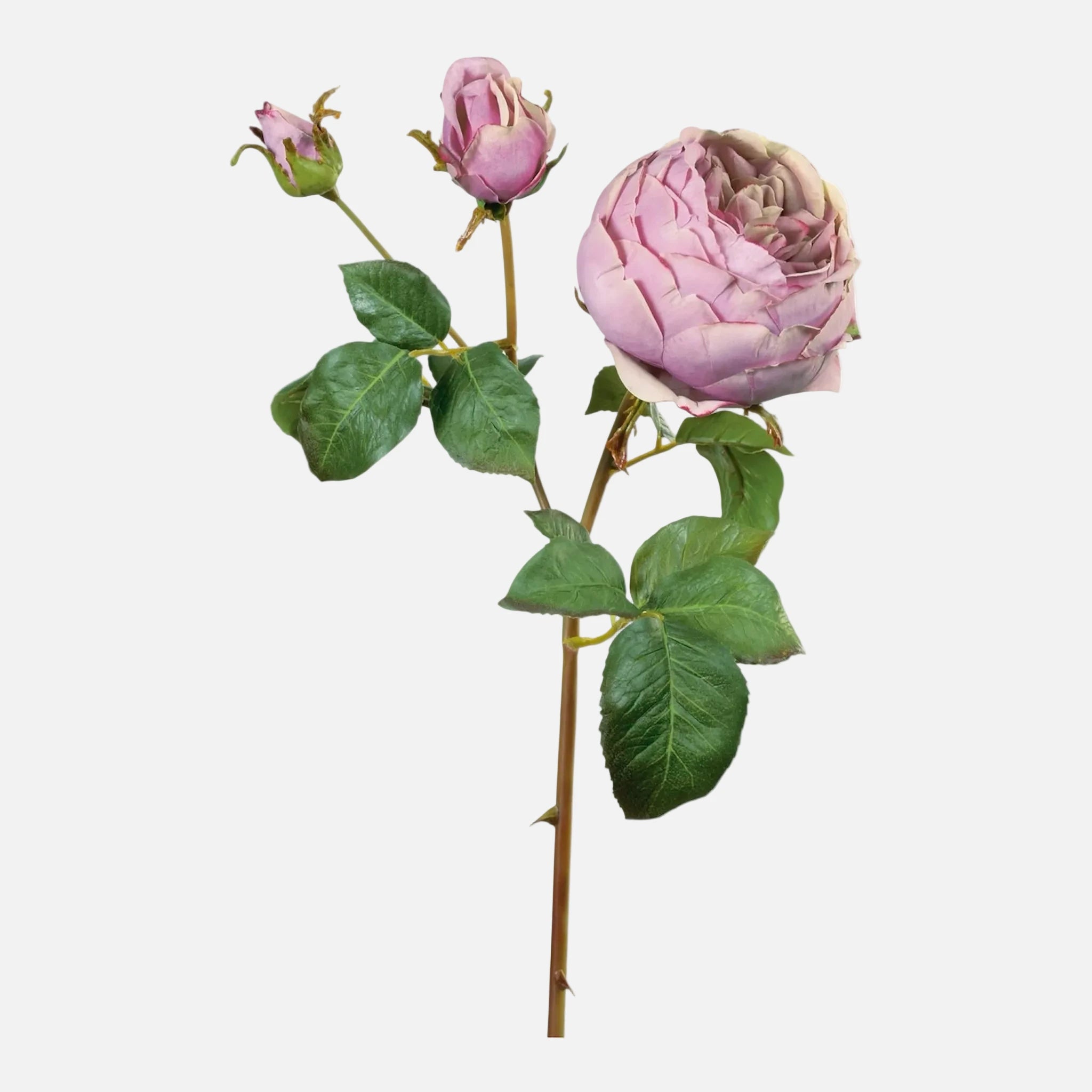 Rosa Inglesa Artificial