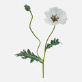 Amapola Artificial Grande