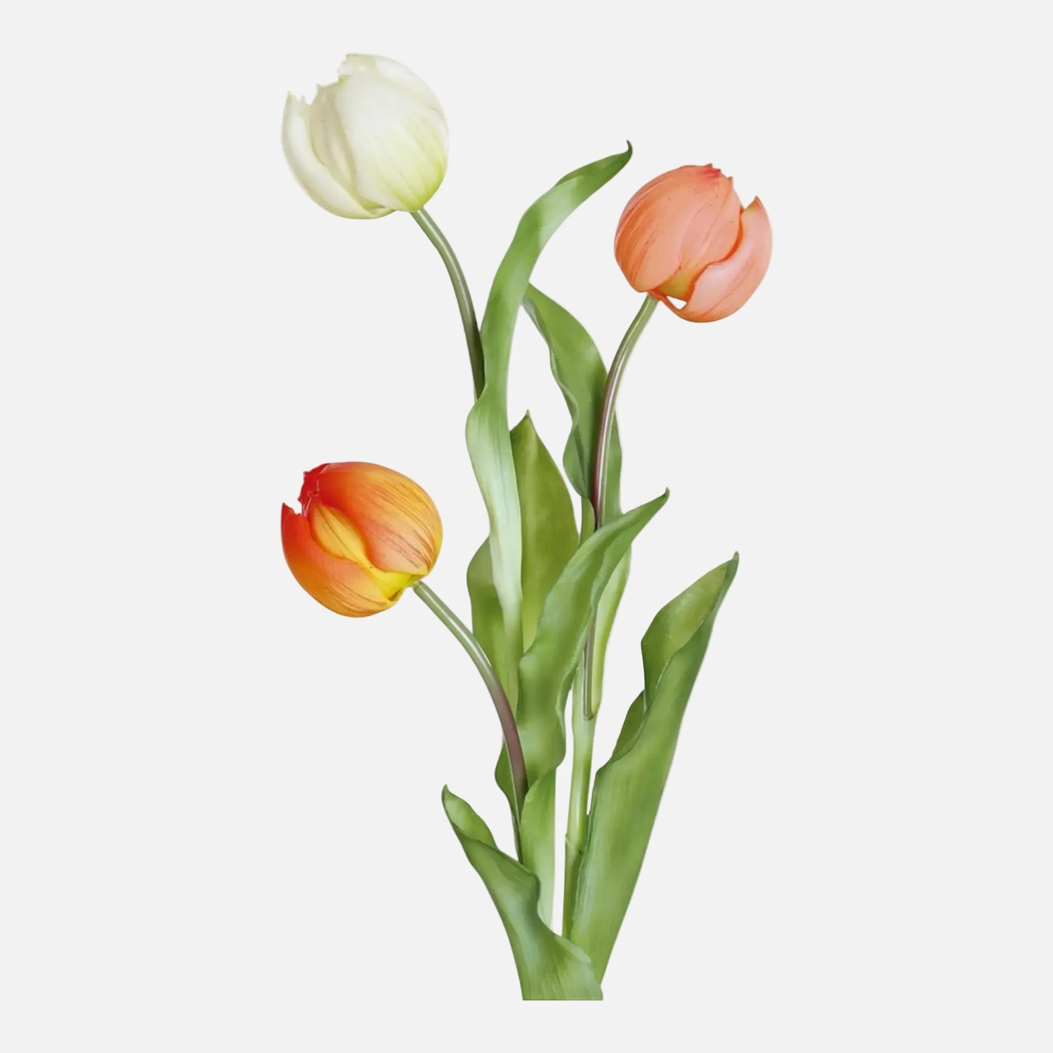 Tulipán Individual Artificial