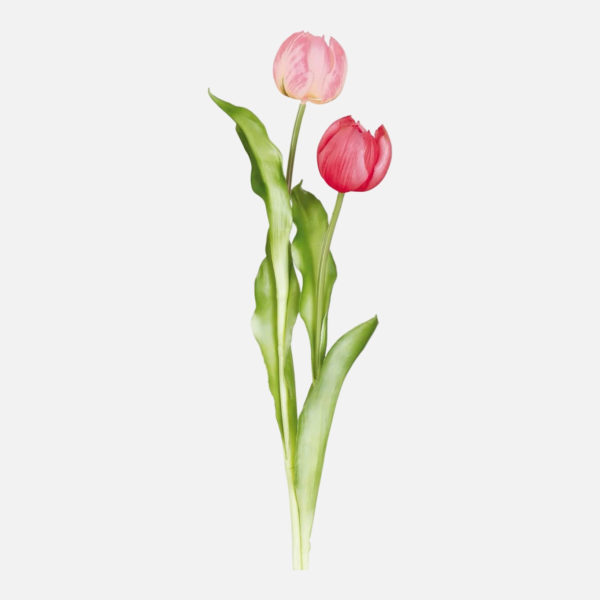 Tulipán Individual Artificial