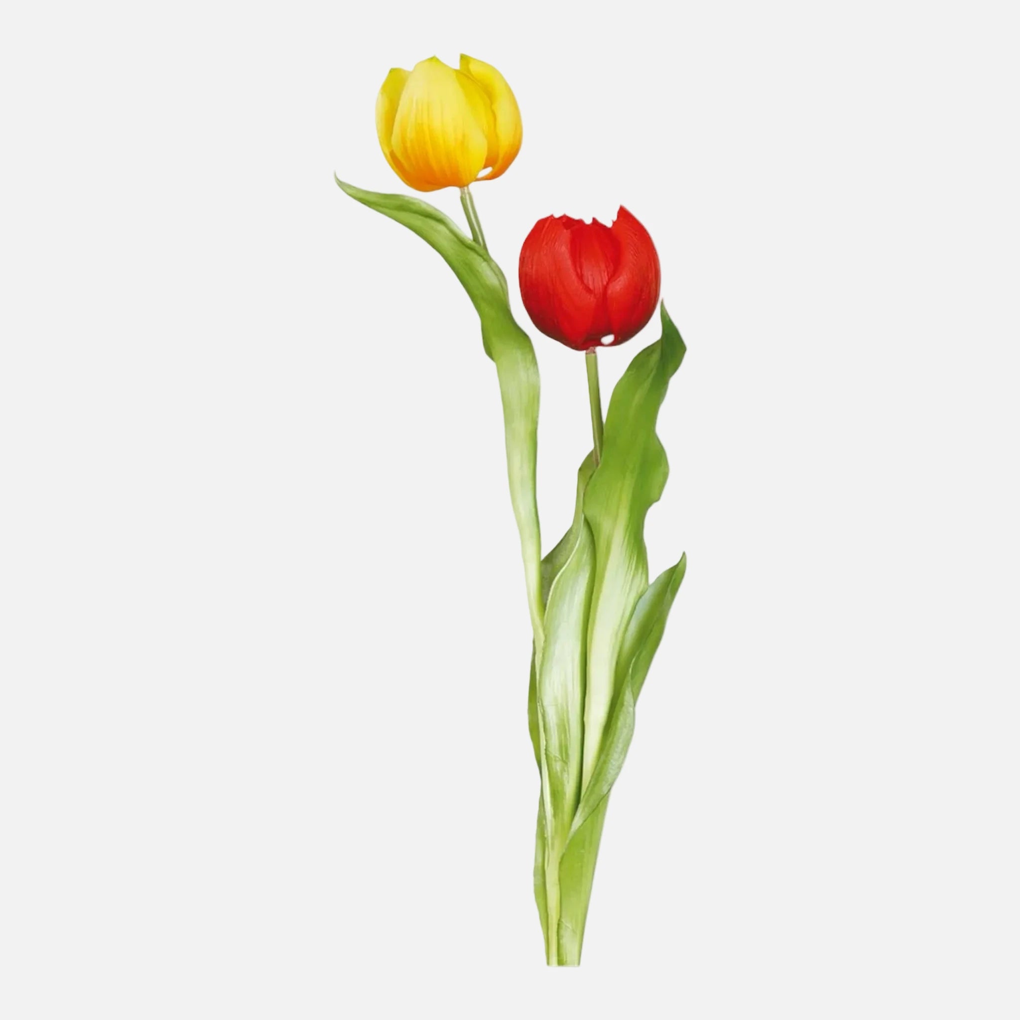 Tulipán Individual Artificial