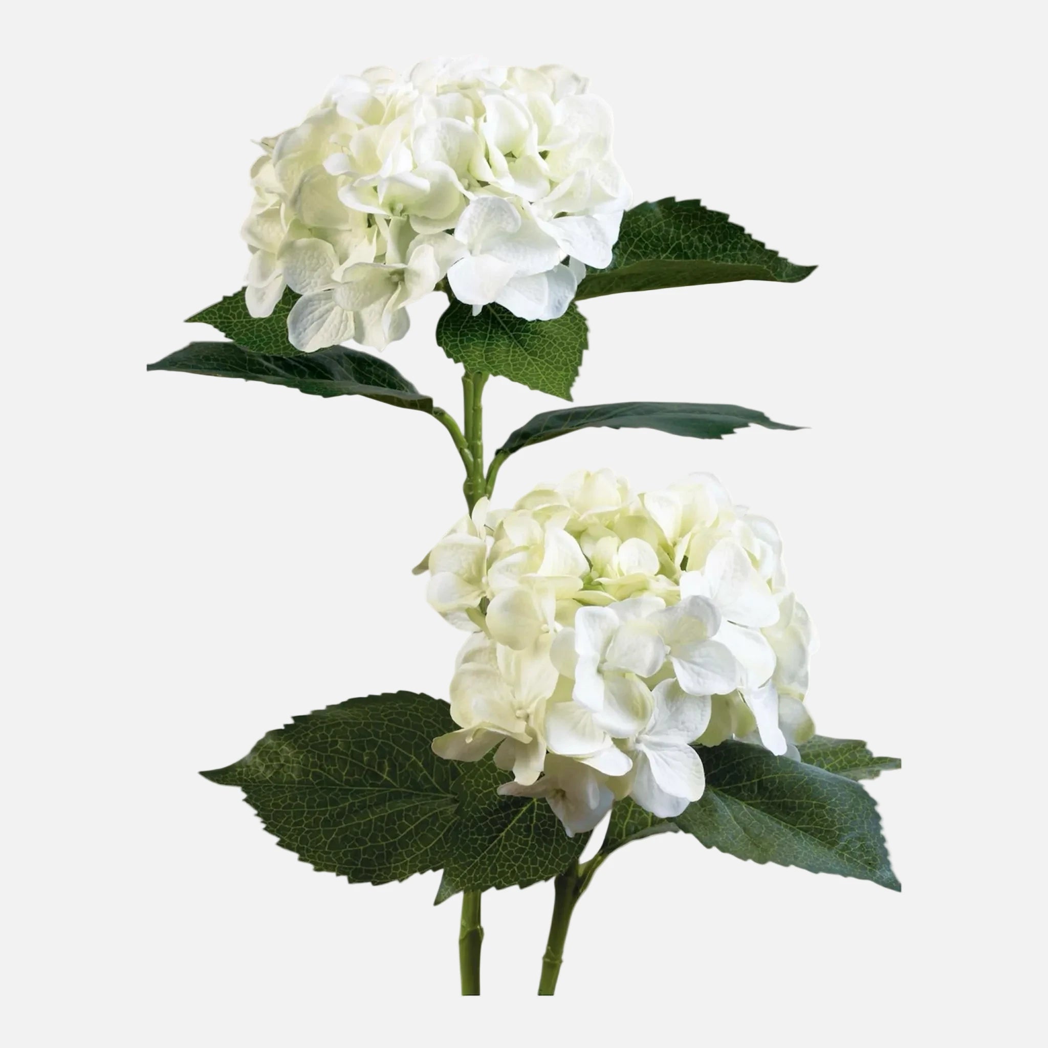Hortensia Artificial Individual