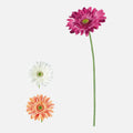 Gerbera Artificial Individual