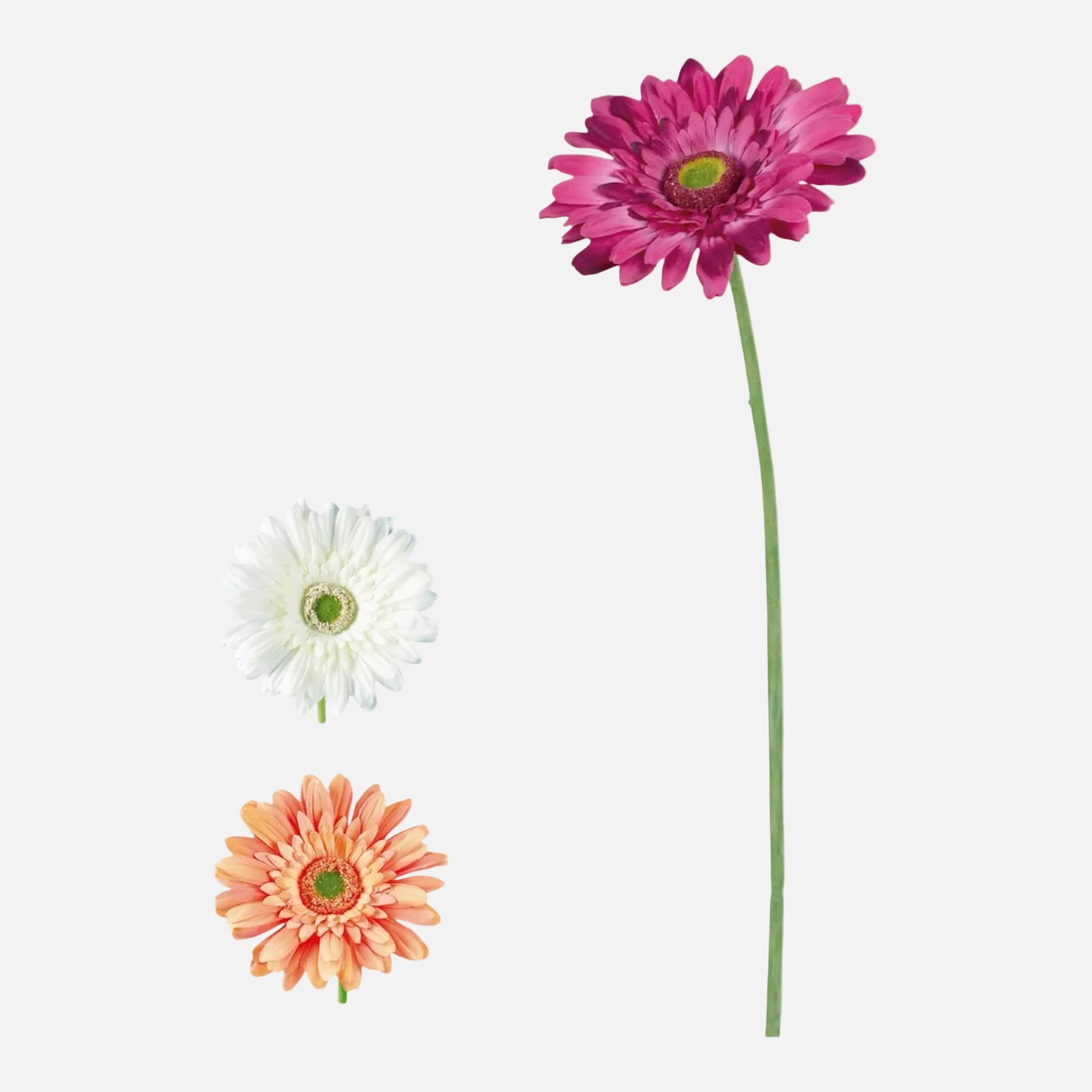 Gerbera Artificial Individual