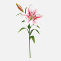 Lilium Casablanca Artificial