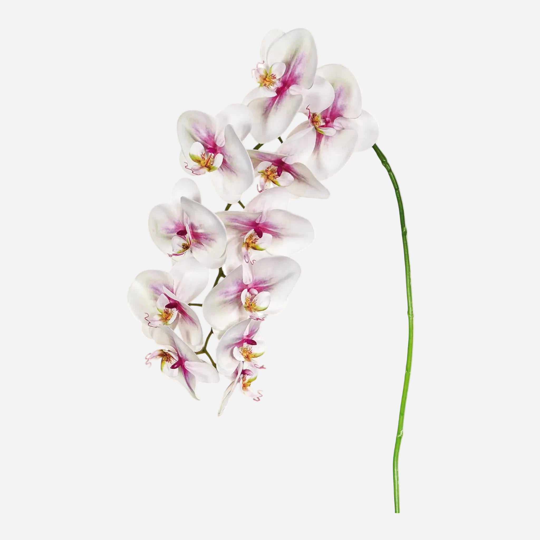 Orquídea Phalaenopsis Artificial