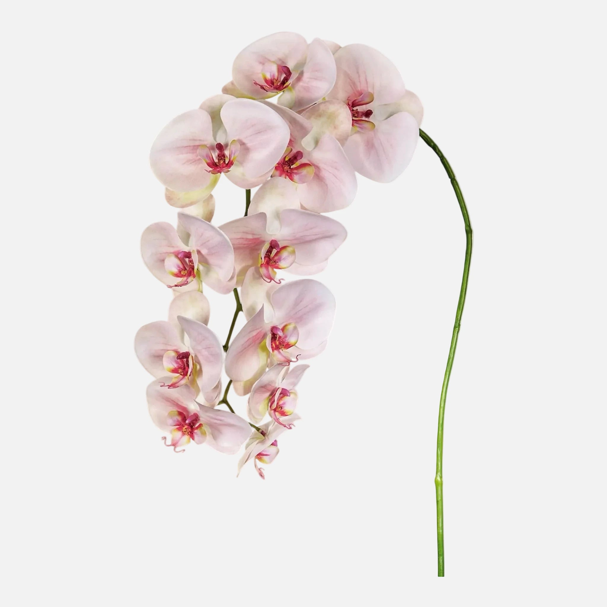 Orquídea Phalaenopsis Artificial