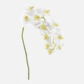 Orquídea Phalaenopsis Artificial