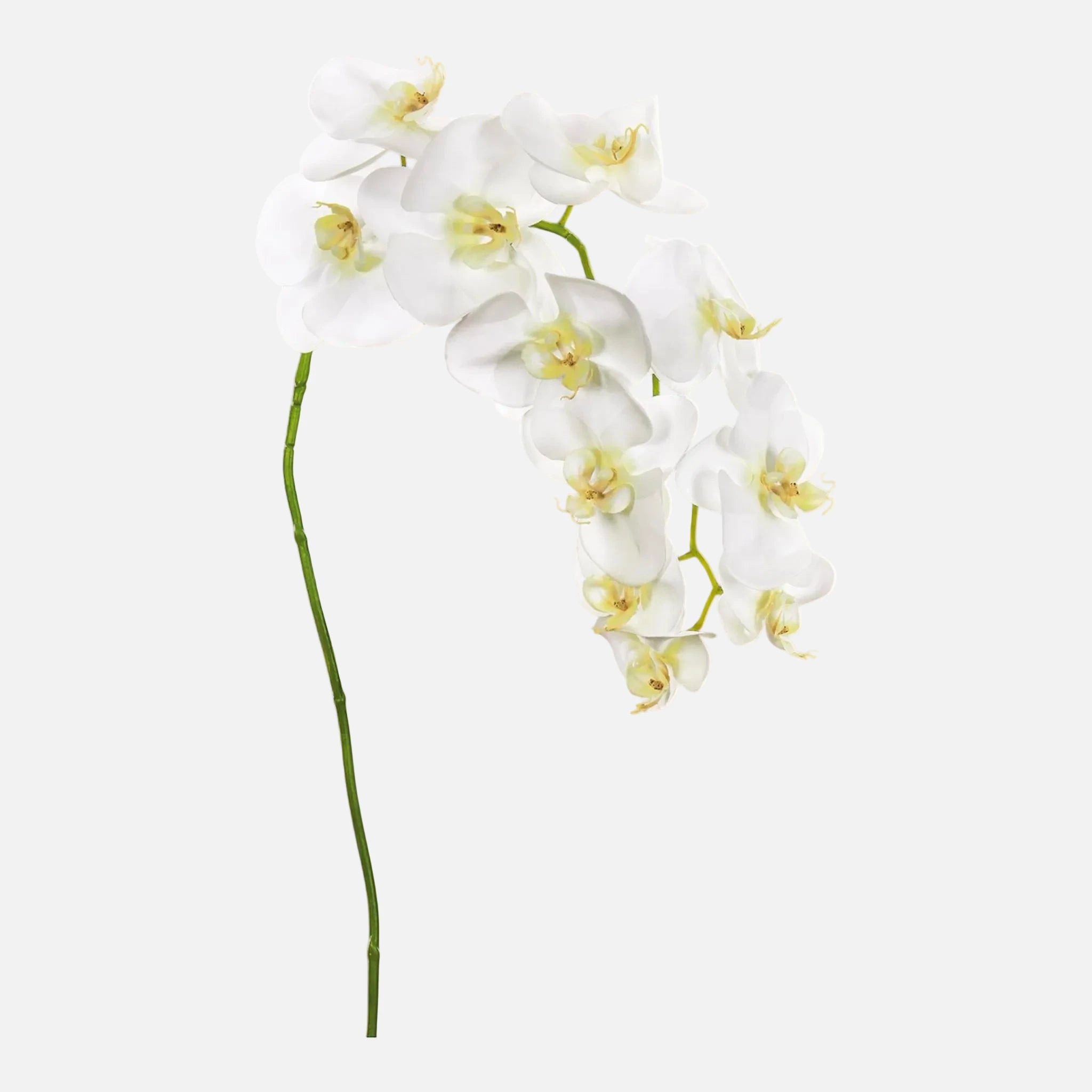 Orquídea Phalaenopsis Artificial