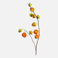 Physalis Artificial