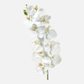 Orquídea Phalaenopsis Artificial Tallo Vertical