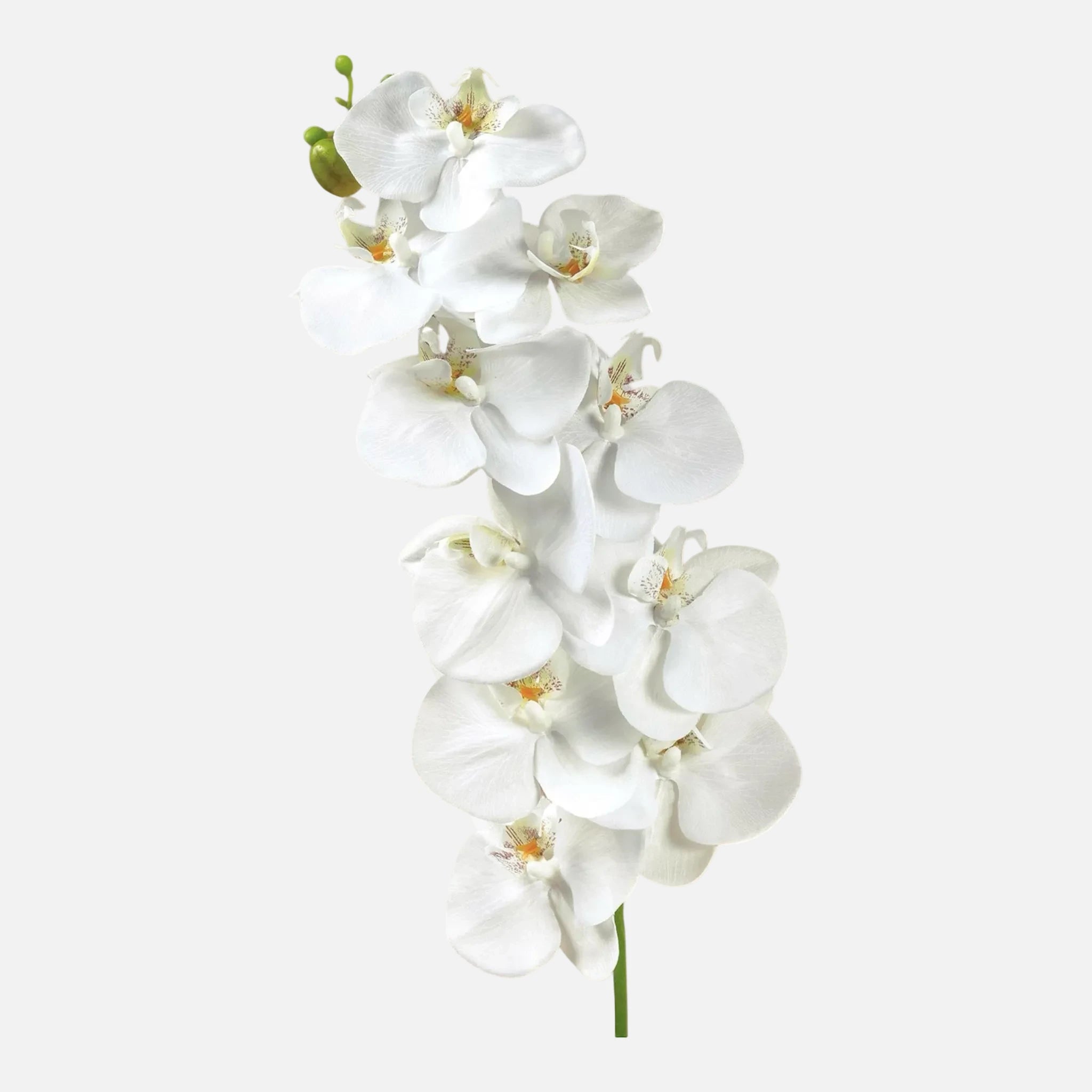 Orquídea Phalaenopsis Artificial Tallo Vertical