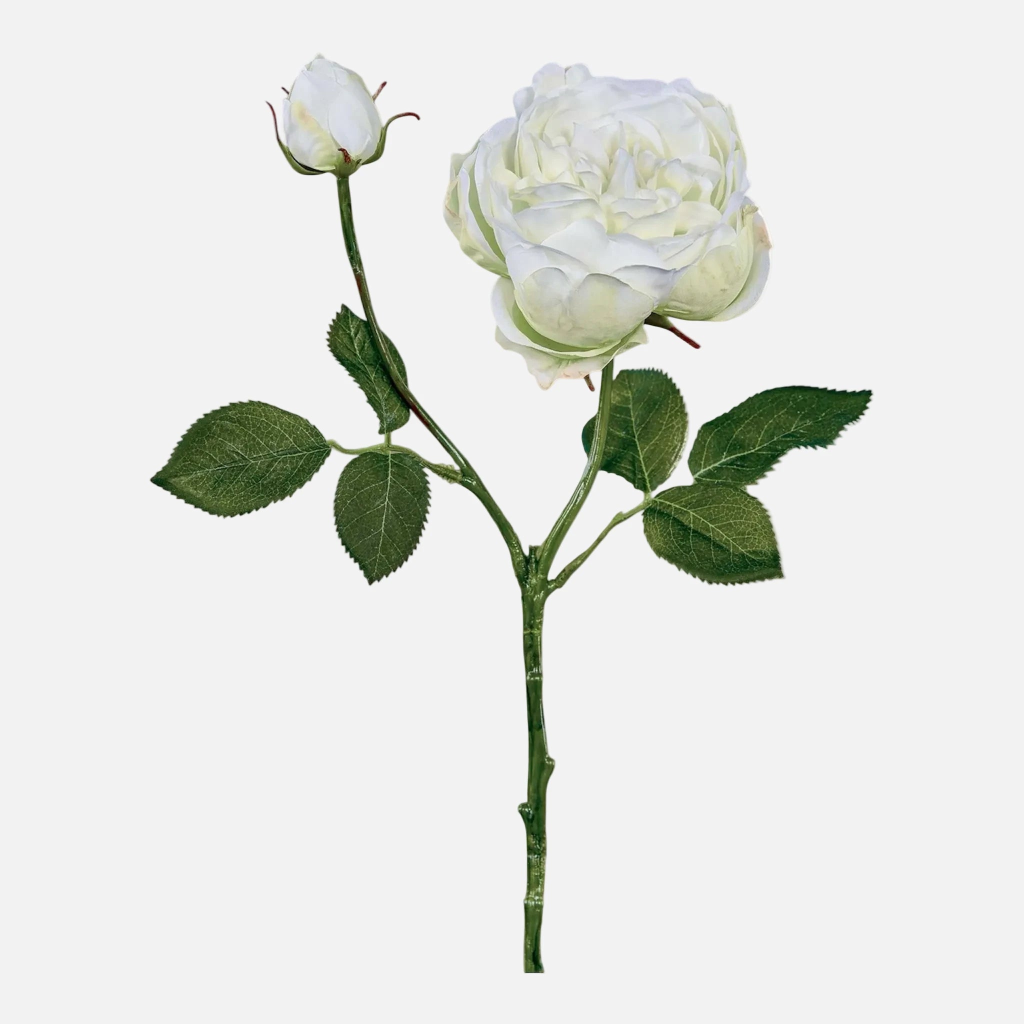 Rosa Inglesa Artificial