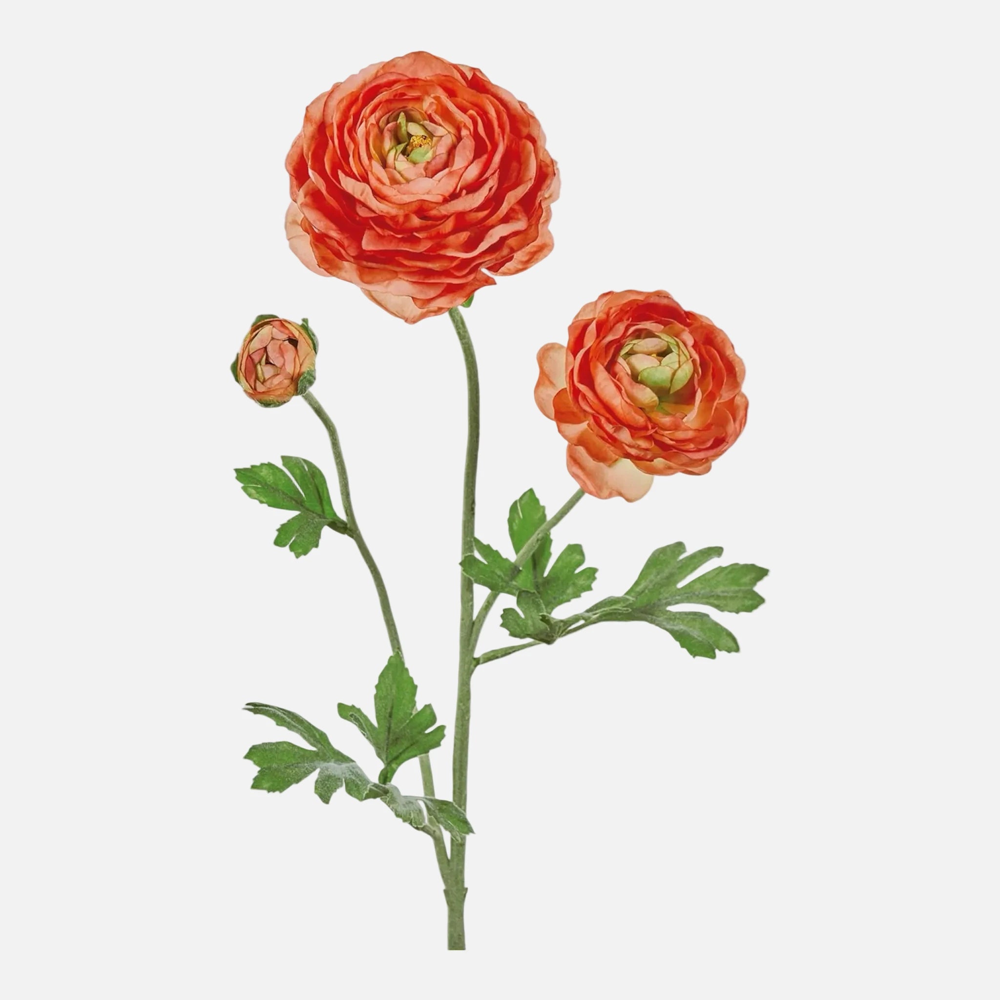 Ranunculus Artificial